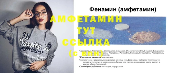 индика Богданович