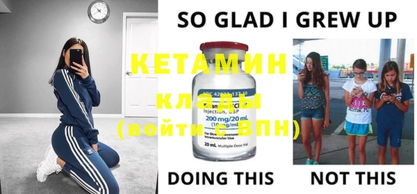 индика Богданович
