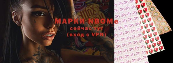 индика Богданович