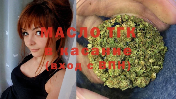 индика Богданович