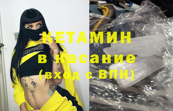 индика Богданович