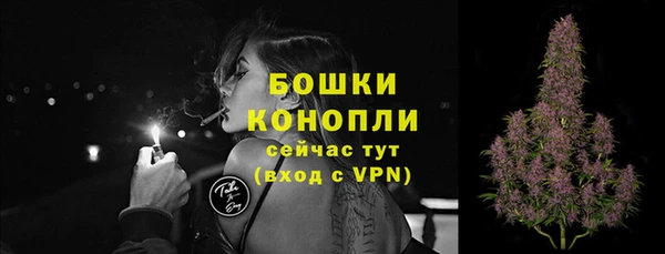 индика Богданович