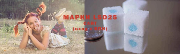 индика Богданович