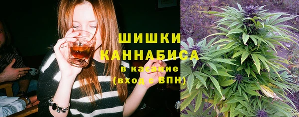 2c-b Богородск