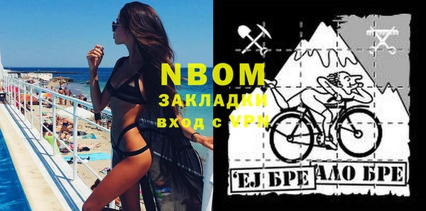 индика Богданович