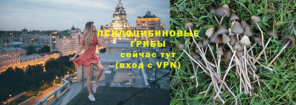 2c-b Богородск