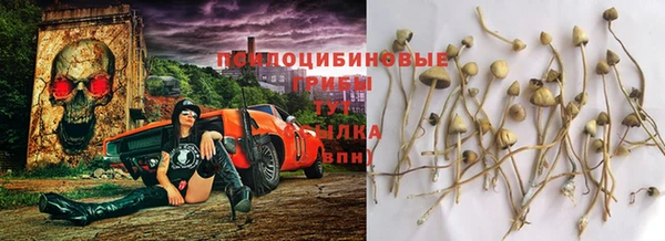 гашишное масло Богородицк