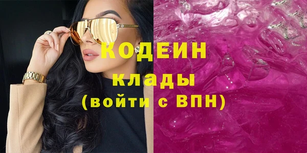 индика Богданович