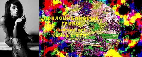 индика Богданович