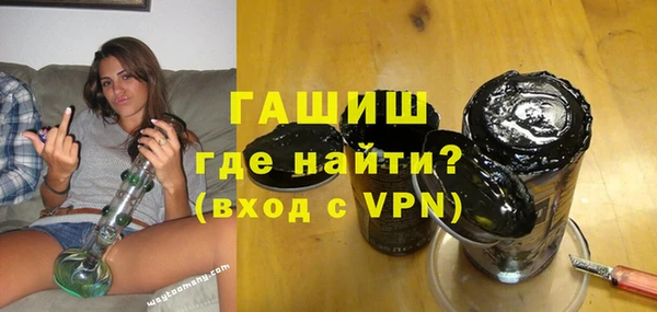 индика Богданович