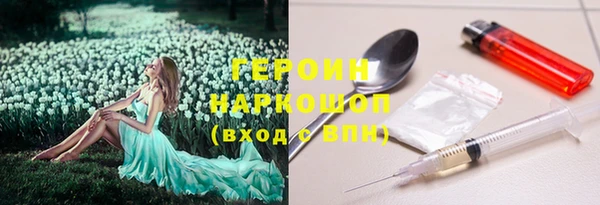 индика Богданович
